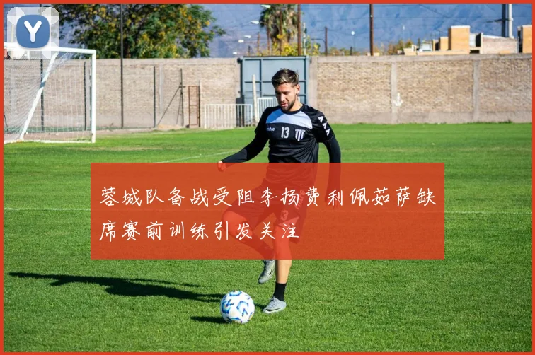 蓉城队备战受阻李扬费利佩茹萨缺席赛前训练引发关注