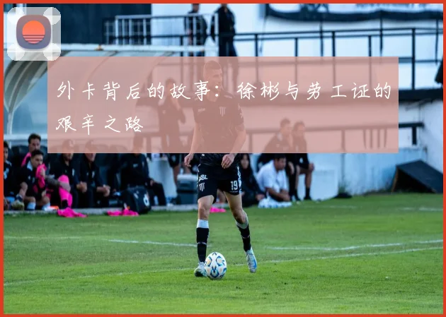外卡背后的故事：徐彬与劳工证的艰辛之路