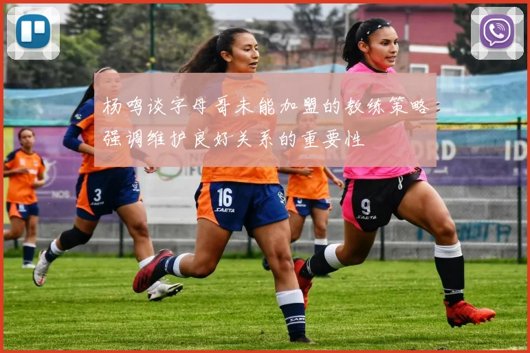 杨鸣谈字母哥未能加盟的教练策略强调维护良好关系的重要性